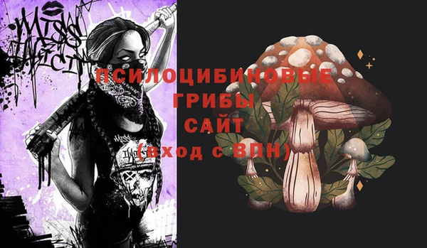 шишки Верея